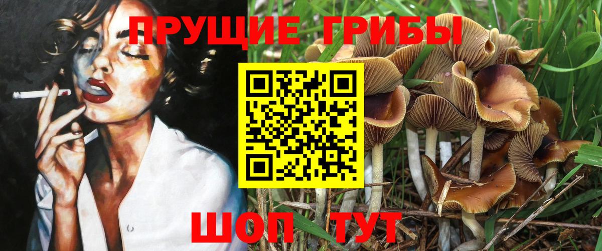 Галлюциногенные грибы мухоморы  Вход с VPN  Салават 